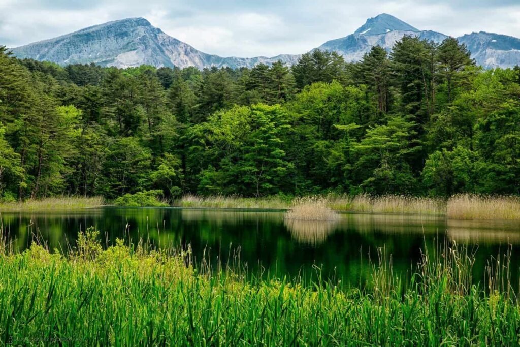 Goshikinuma Lake in Tohoku with vivid blue water and forest scenery
