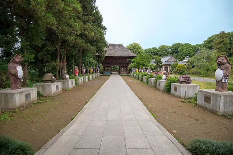 Tanuki statues lining the approach to Morinji Temple in Tatebayashi Gunma
