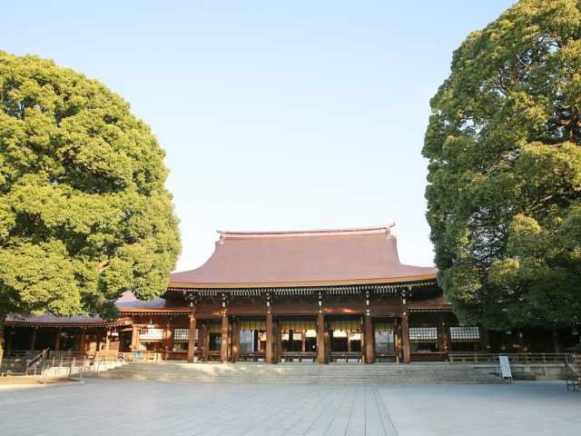 What to Do in Harajuku With Kids (2026): 19 Fun, Cute & Easy Tokyo Ideas 25 Meiji Jingu Shrine forest path near Harajuku Station in Tokyo