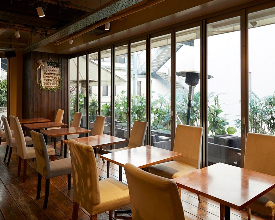 What to Do in Harajuku With Kids (2026): 19 Fun, Cute & Easy Tokyo Ideas 15 Blue Garden Harajuku relaxed cafe and terrace dining near Takeshita Street