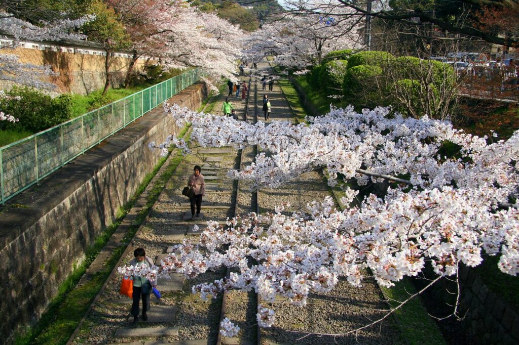 What to Do in Gion Kyoto in 2026: Beautiful Streets, Shrines and Local Experiences 18 Disused railway tracks lined with trees at Keage Incline in Kyoto
