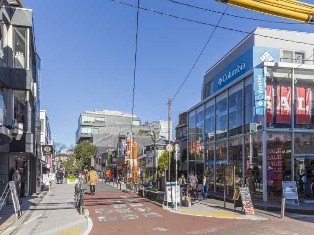 What to Do in Harajuku With Kids (2026): 19 Fun, Cute & Easy Tokyo Ideas 19 Cat Street shopping walk between Harajuku, Omotesando, and Shibuya