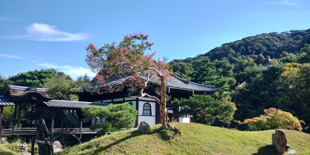 What to Do in Gion Kyoto in 2026: Beautiful Streets, Shrines and Local Experiences 12 Historic temple buildings and landscaped garden at Kodai-ji Temple in Kyoto