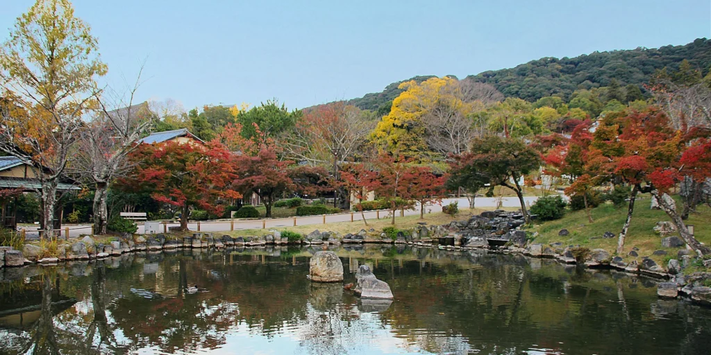 What to Do in Gion Kyoto in 2026: Beautiful Streets, Shrines and Local Experiences 10 Weeping cherry tree and park scenery at Maruyama Park in Kyoto
