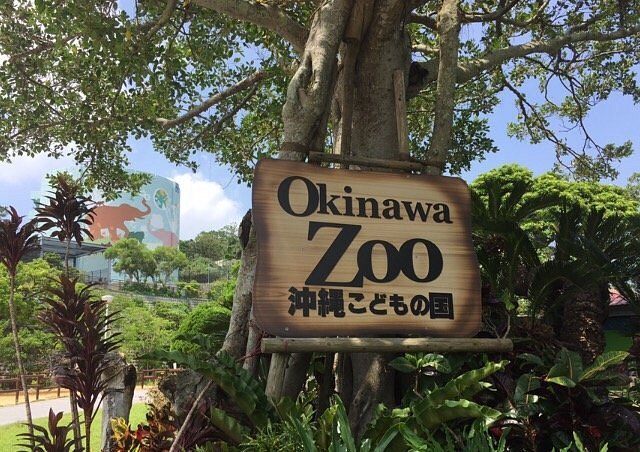 Okinawa Zoo & Museum