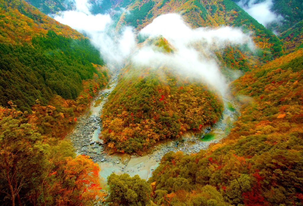 Tokushima
