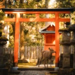 14 Day Japan Itinerary with Kids (2026): Easy Family Route with Hidden Gems 1 14 day Japan itinerary with kids