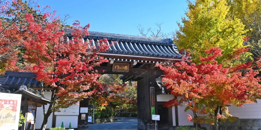 What to Do in Gion Kyoto in 2026: Beautiful Streets, Shrines and Local Experiences 21 Autumn foliage surrounding Zenrinji Eikan-do Temple in Kyoto