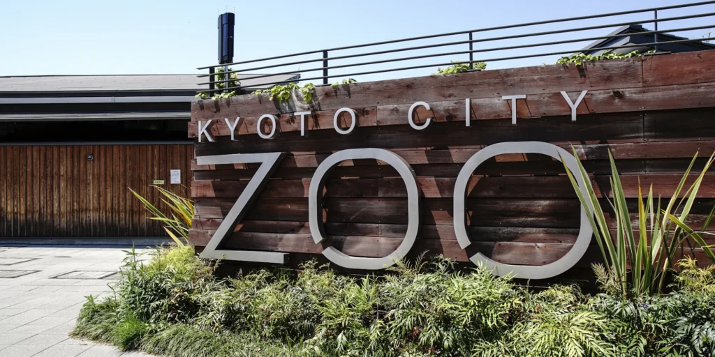 What to Do in Gion Kyoto in 2026: Beautiful Streets, Shrines and Local Experiences 16 Family-friendly Kyoto City Zoo in the Okazaki district