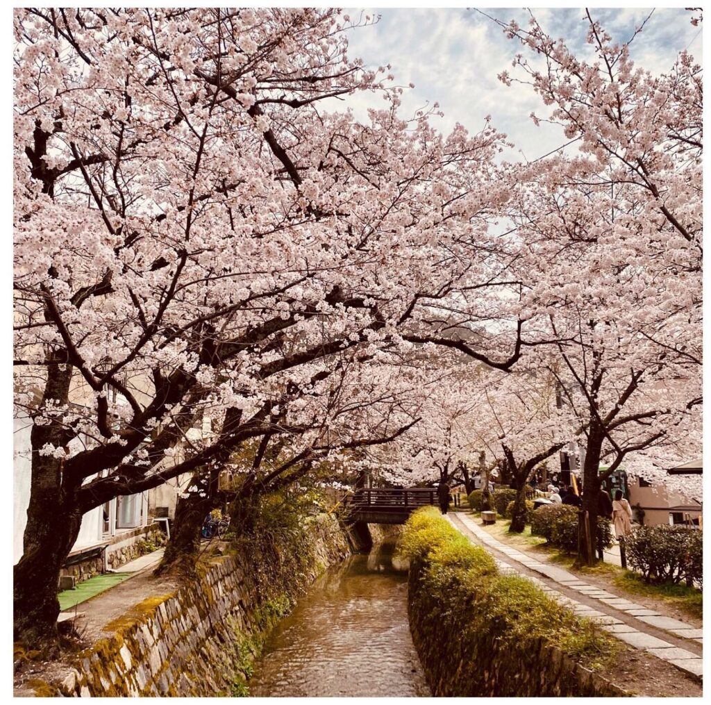 Philosopher’s Path