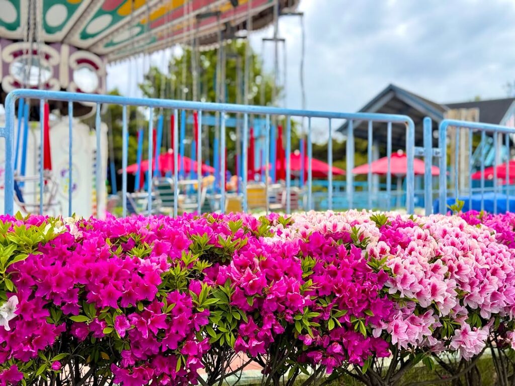 Laguna Ten Bosch, Gamagori