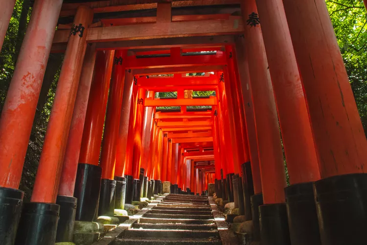 Fushimi Inari 