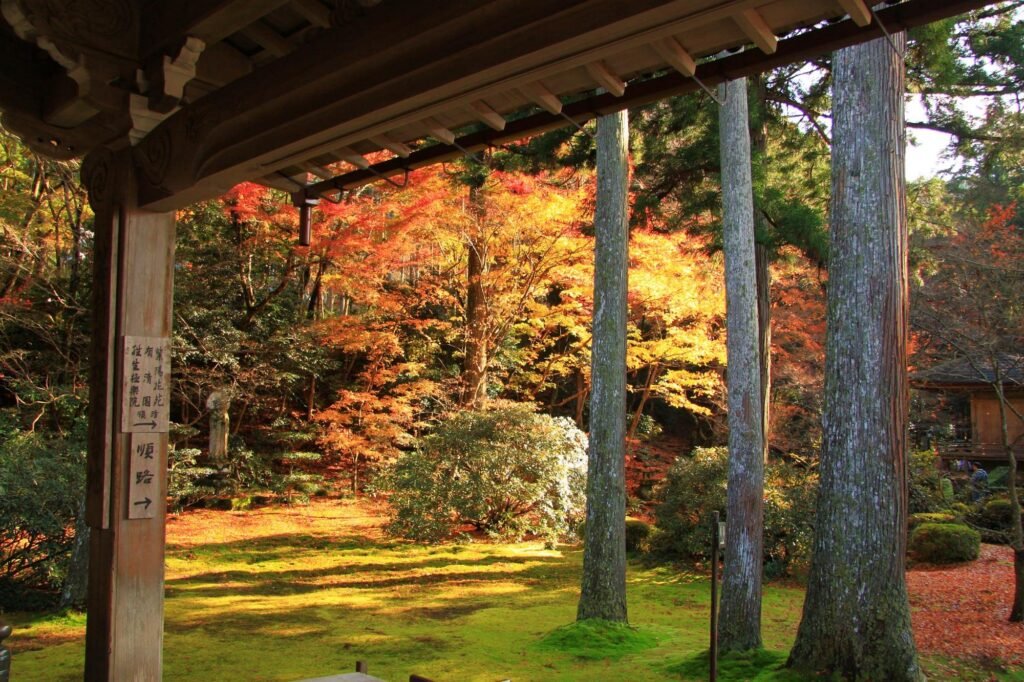 14 Best Day Trips From Kyoto: Hot Springs, Castles, Lakes and Easy Escapes 16 Sanzen-in Temple