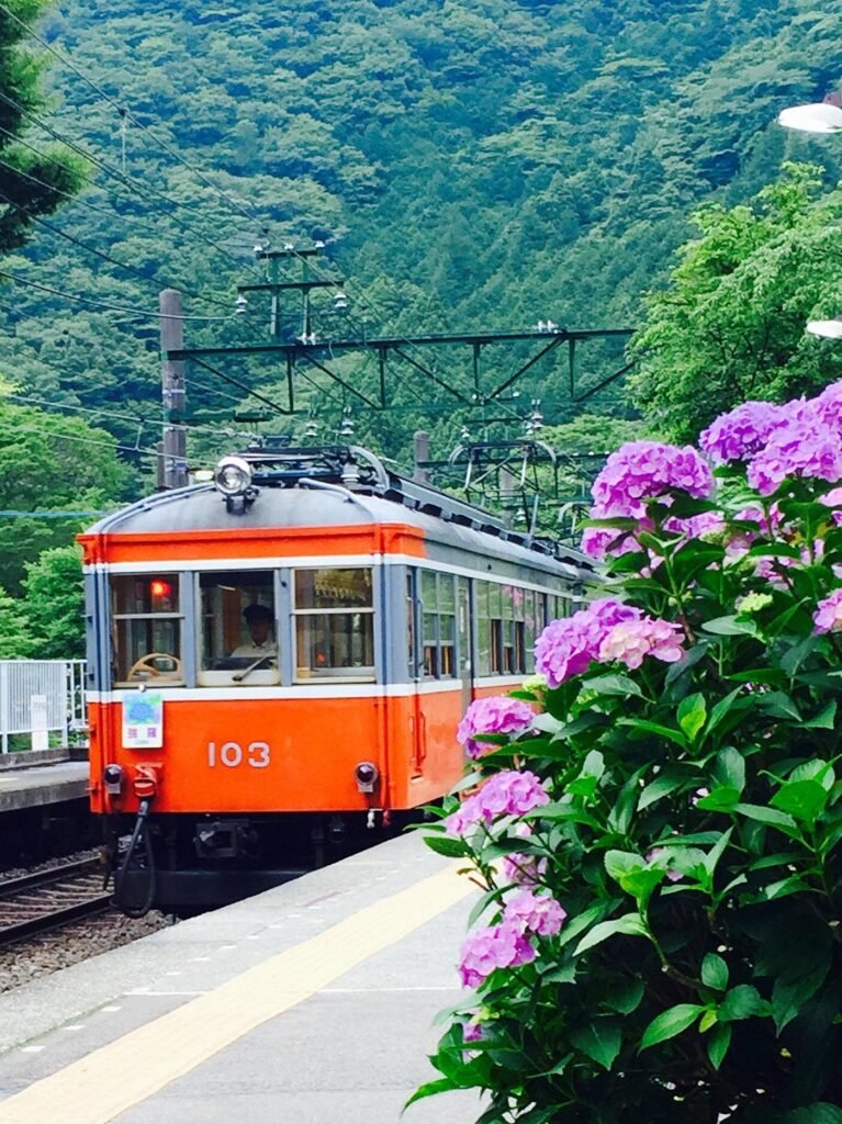 Hakone Tozan Train