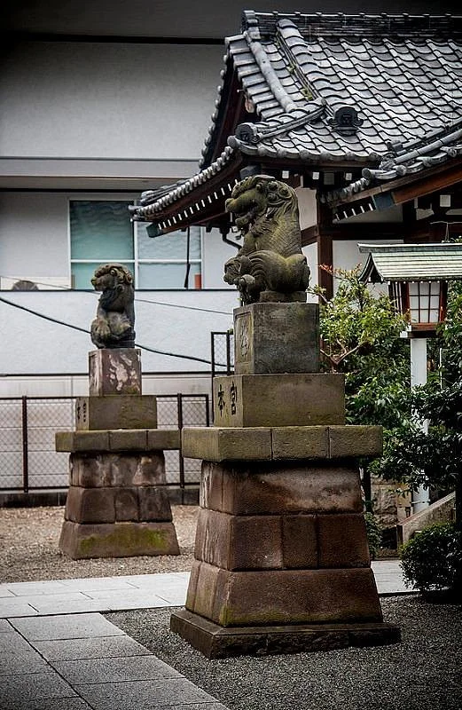 Japan Solo Travel for Introverts Itinerary: A Calm 10-Day Route Through Tokyo, Kyoto, Nara and Osaka 9 Otori Shrine in Asakusa