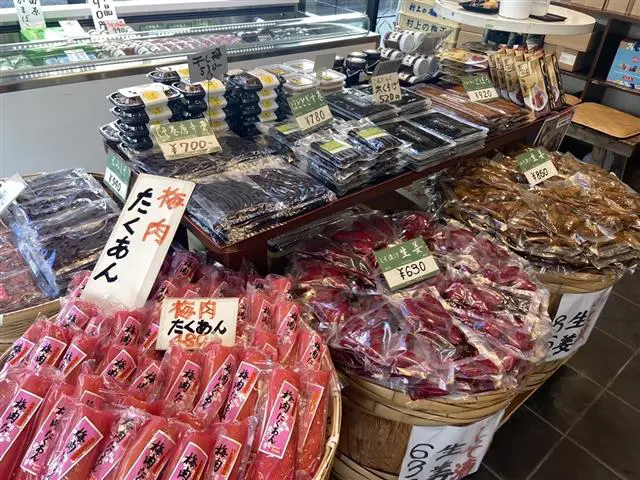 Hakone-Yumoto Station