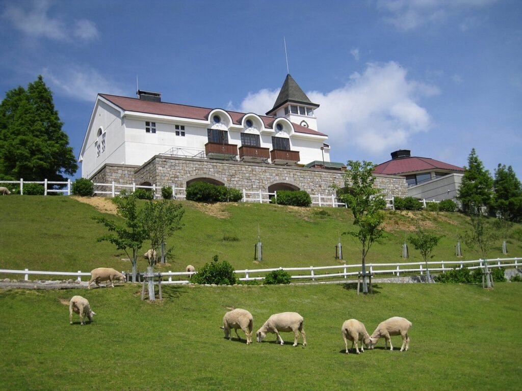  Sheep at Rokko Mountain Ranch Kobe