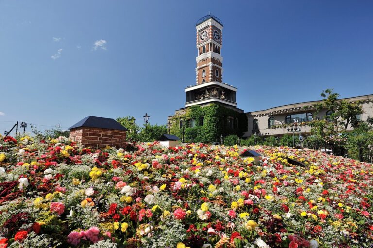 Home 42 Best Things to Do in Sapporo With Kids