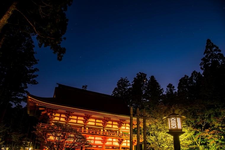 Lantern-lit path through Okunoin cemetery at night in Koyasan