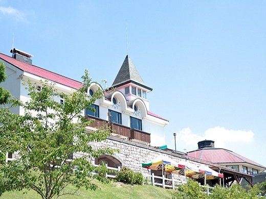 35 Best Things to Do in Kobe (2026): Waterfront Views, Mountain Escapes and Cultural Sights 24 Sheep grazing in open pastures at Rokko Mountain Ranch