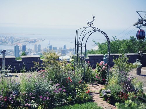 35 Best Things to Do in Kobe (2026): Waterfront Views, Mountain Escapes and Cultural Sights 11 Kobe Nunobiki Ropeway climbing above the city toward the herb gardens