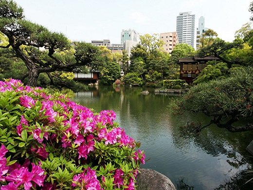 35 Best Things to Do in Kobe (2026): Waterfront Views, Mountain Escapes and Cultural Sights 22 Pond, trees and traditional landscaping in Sorakuen Garden, Kobe