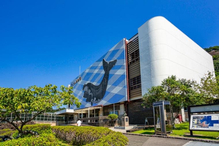 Taiji Whale Museum and coastal scenery in Wakayama