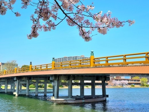 20 Best Things to Do in Shiga (2026): Lake Biwa, Castles, Shrines and More 13 Seta no Karahashi Bridge crossing the Seta River in Otsu, Shiga