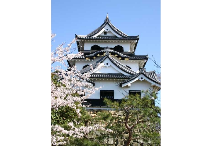 Home 41 Best Things to Do in Shiga