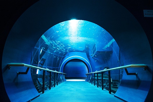 20 Best Things to Do in Shiga (2026): Lake Biwa, Castles, Shrines and More 14 Lake Biwa Museum beside the lake in Kusatsu, Shiga Prefecture