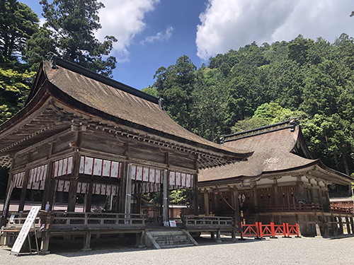 20 Best Things to Do in Shiga (2026): Lake Biwa, Castles, Shrines and More 8 Hiyoshi Taisha shrine buildings surrounded by forest in Otsu, Shiga