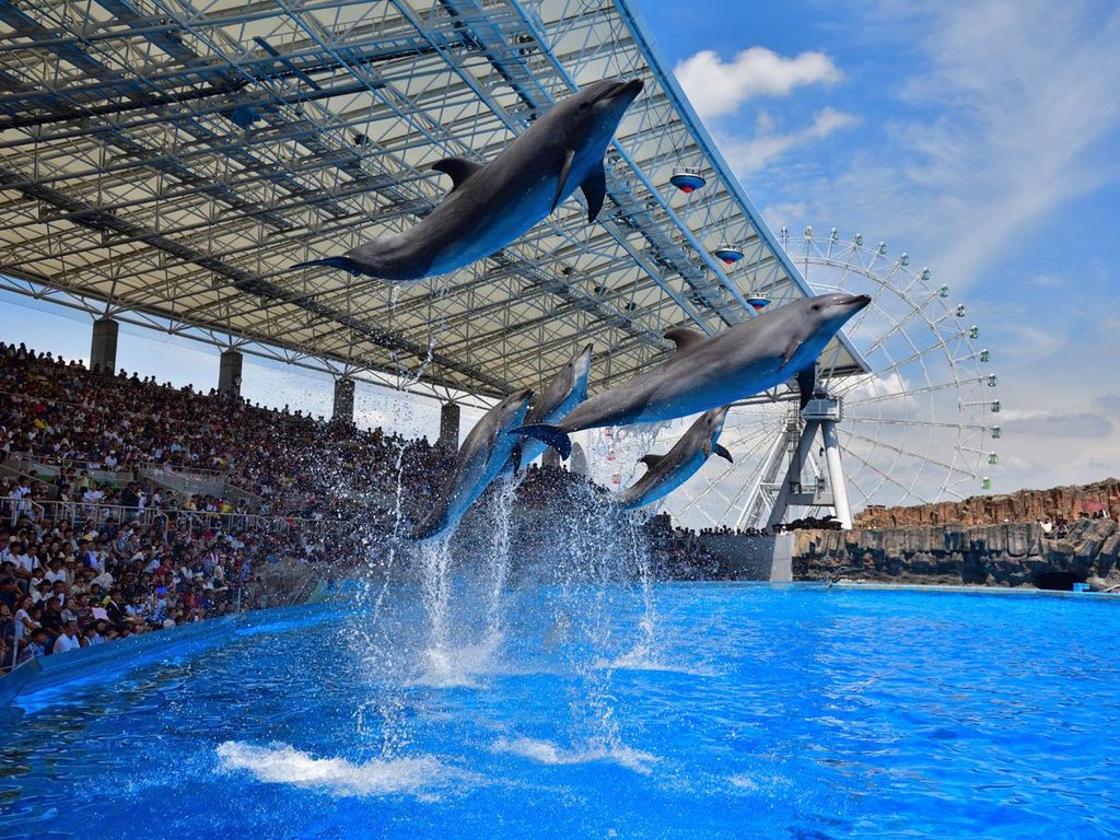 Marine life exhibit at the Port of Nagoya Public Aquarium