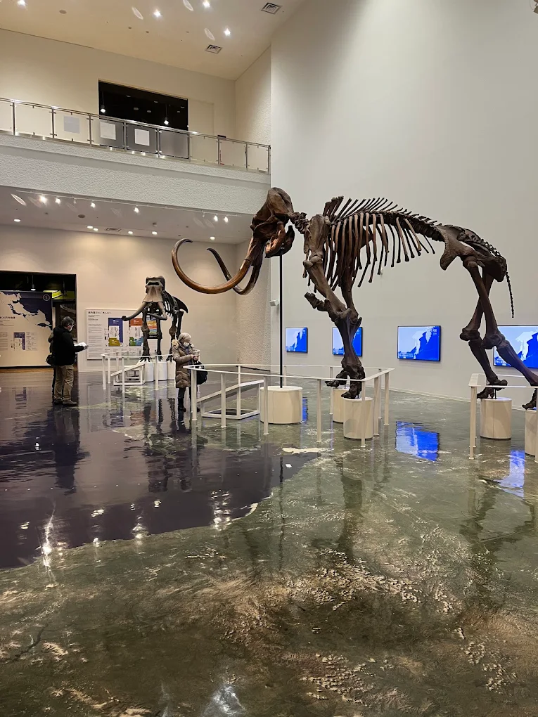 Hokkaido Museum in Sapporo