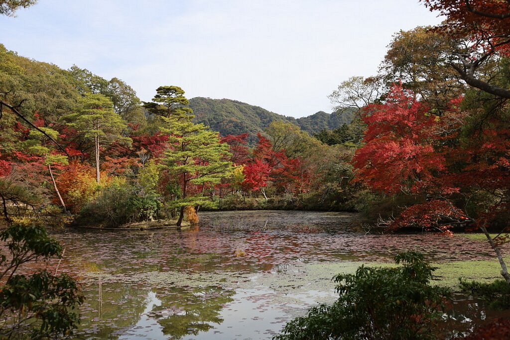 9 Hidden Gems in Kobe (2026): Unique Places Beyond the Usual Tourist Trail 8 Kobe Municipal Forest Botanical Garden